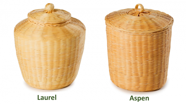 Bamboo Ashes Urns